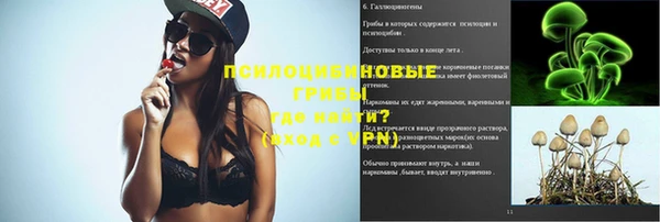 apvp Аркадак