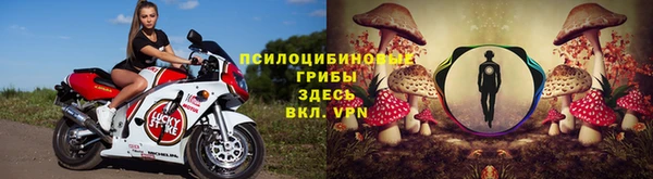 apvp Аркадак