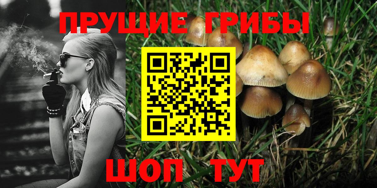 закладки  Вход с VPN  Верхняя Салда  Галлюциногенные грибы GOLDEN TEACHER  Галлюциногенные грибы Psilocybine cubensis 